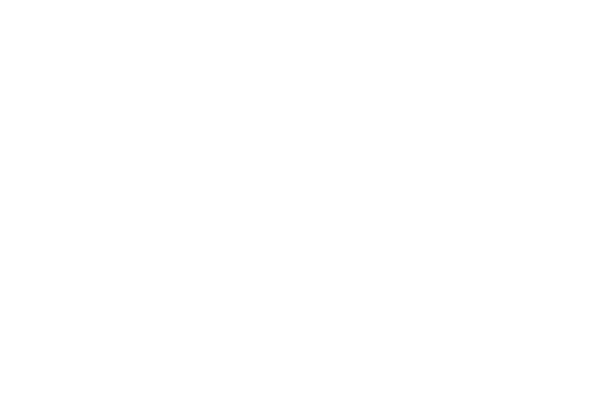Logo CFTS Niger